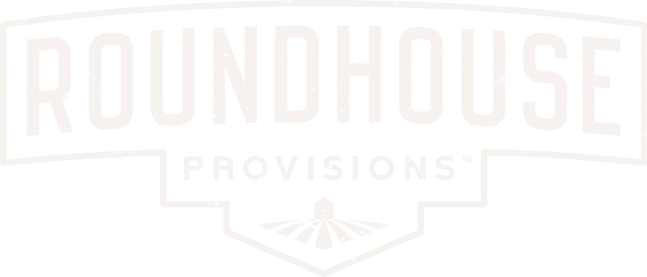 Roundhouse morning kick official site