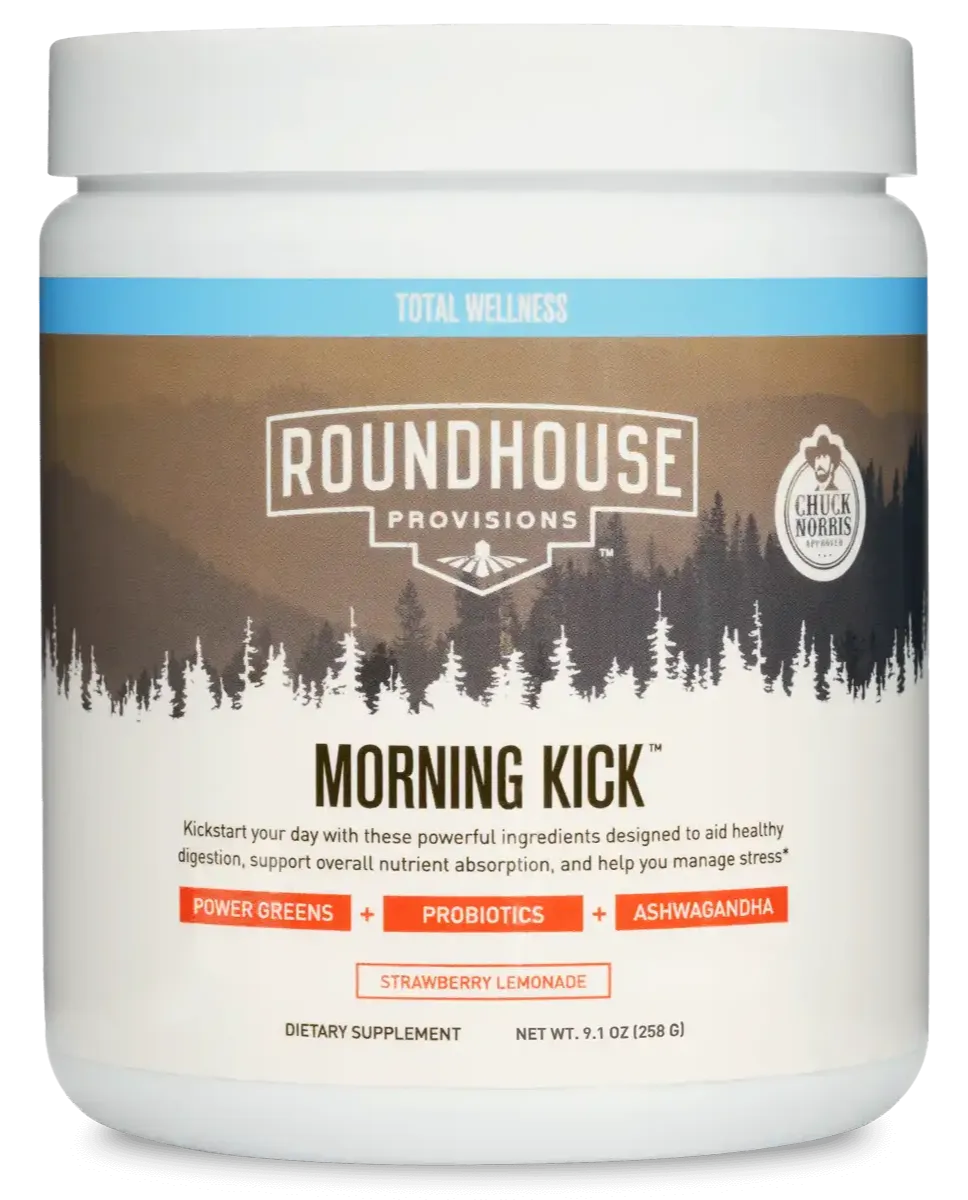 Roundhouse Morning Kick